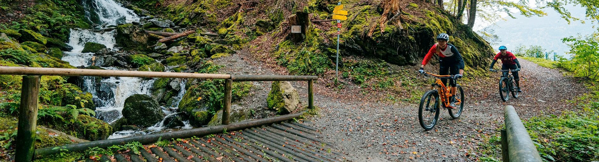 Toghy Trail