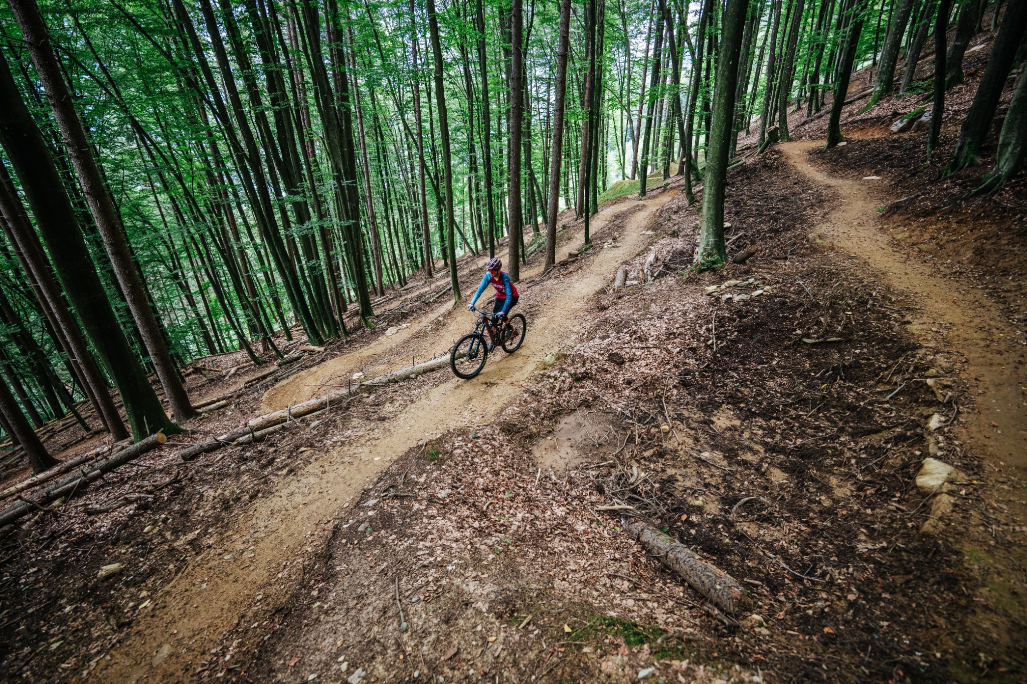 Alban Berg Uphill