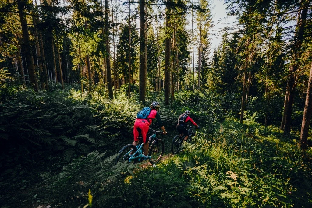 Shorty Trail