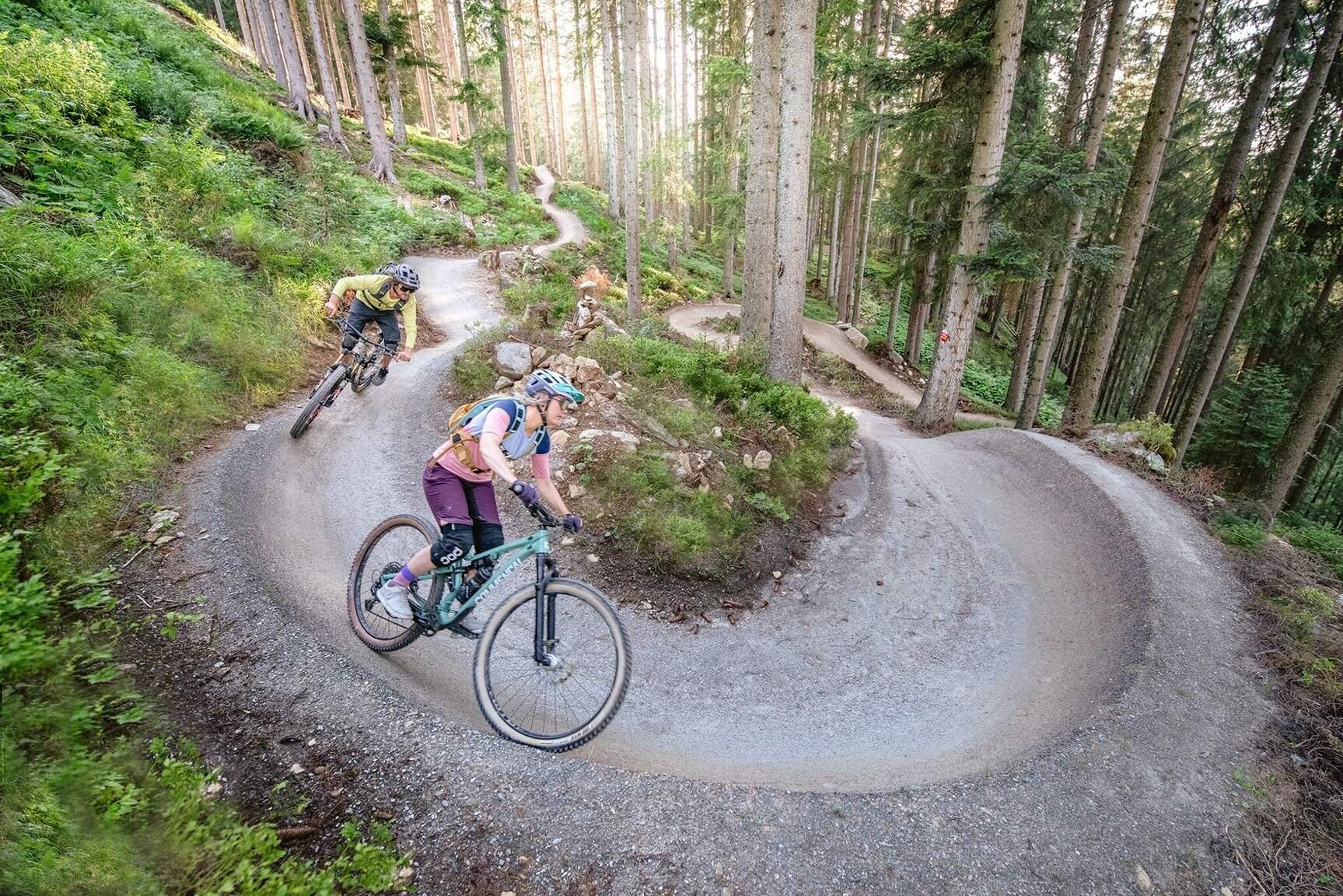 Schnepfenwald Trail