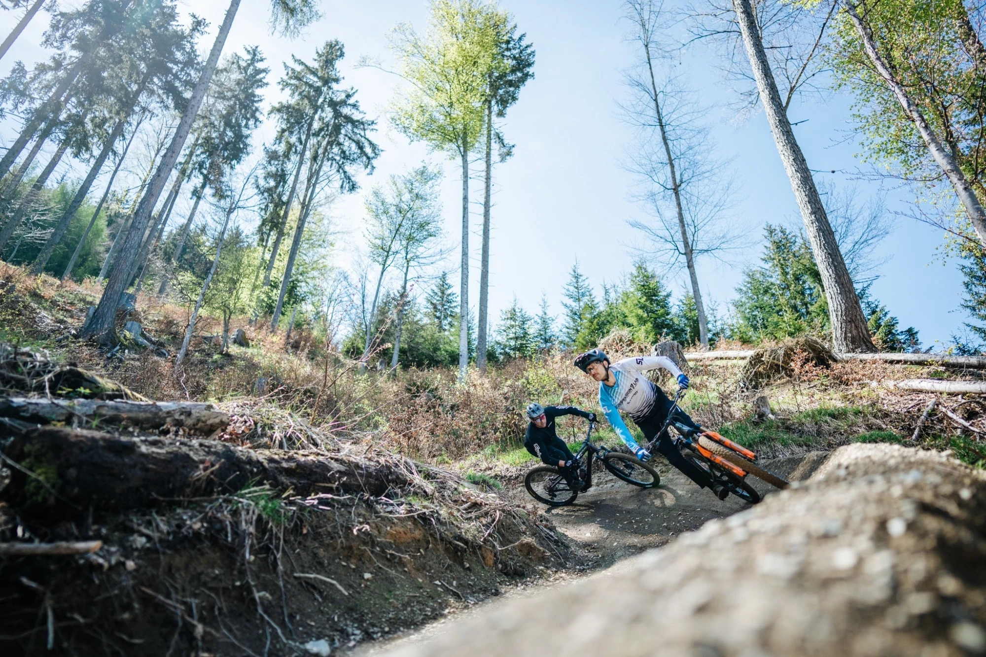 Liftgartner Trail