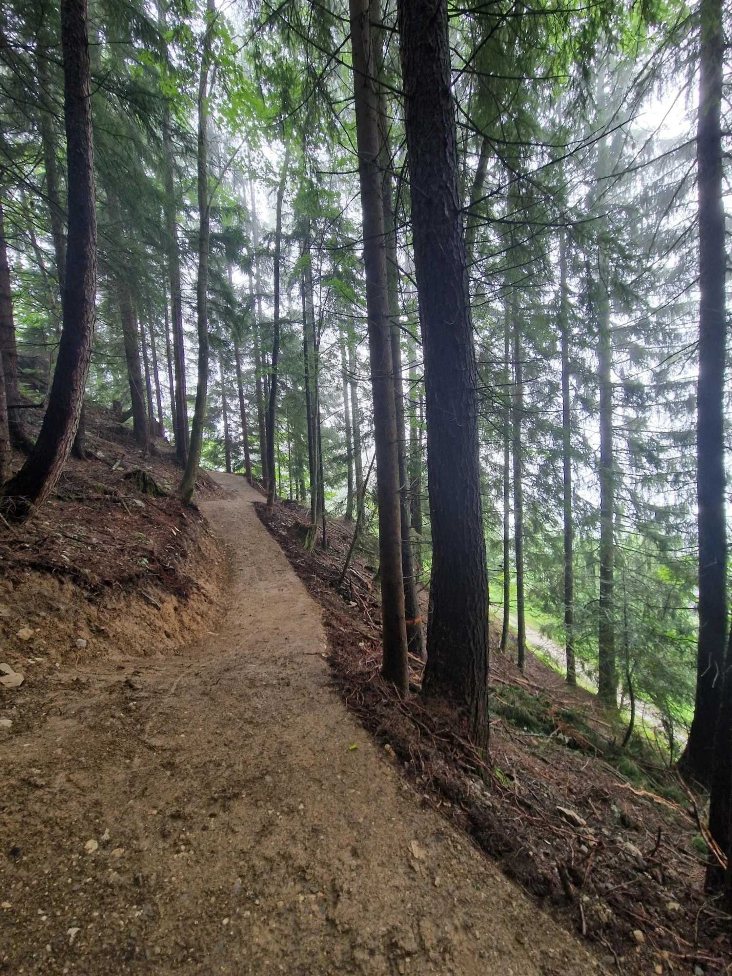Linkgartner Trail