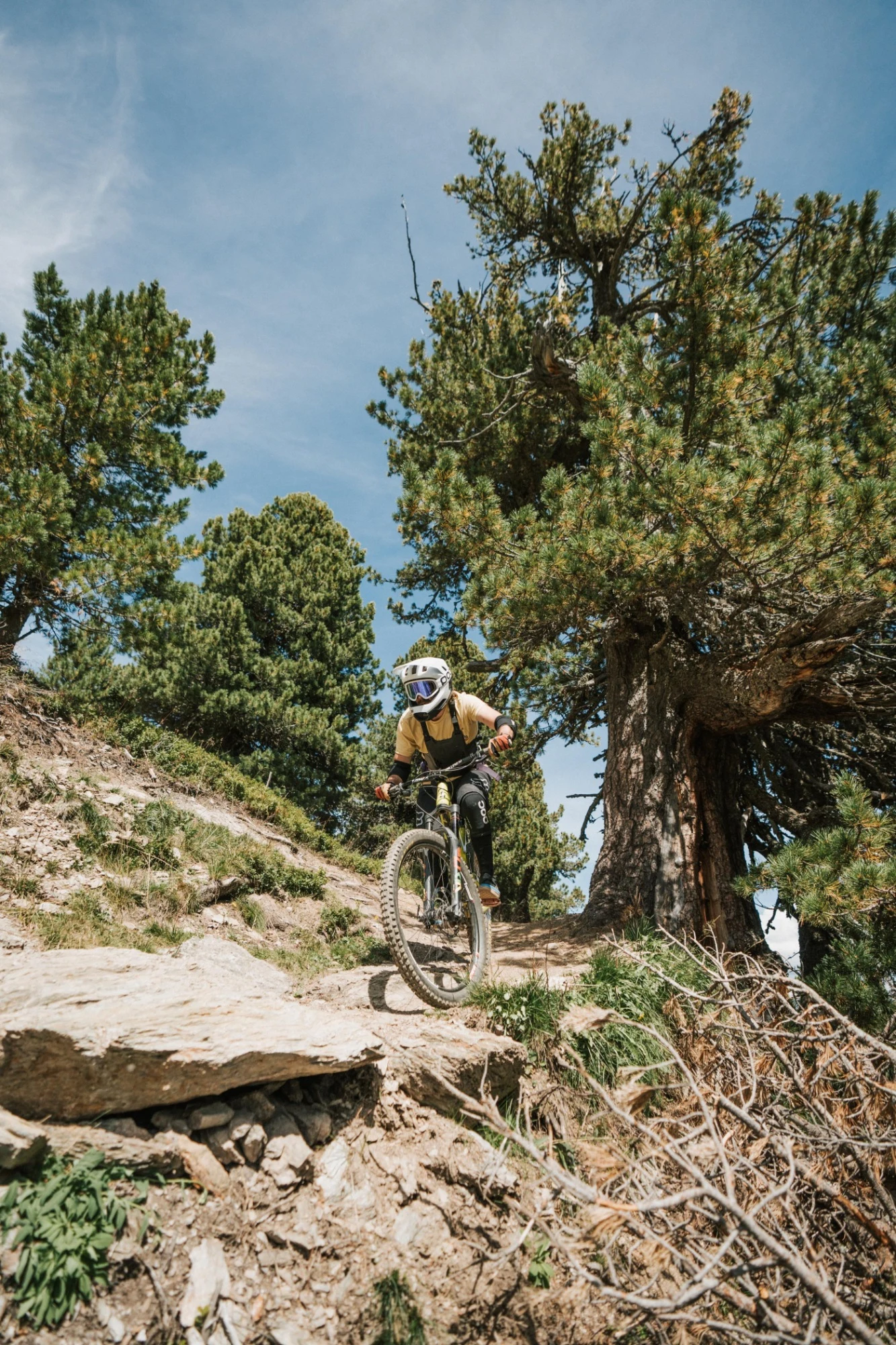Earl Grey Trail