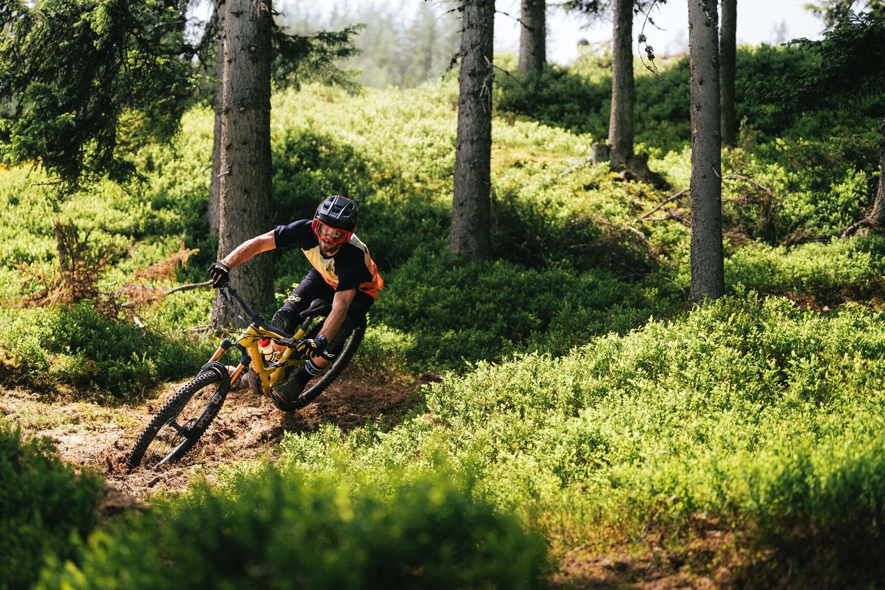 Hochalm Enduro Trail