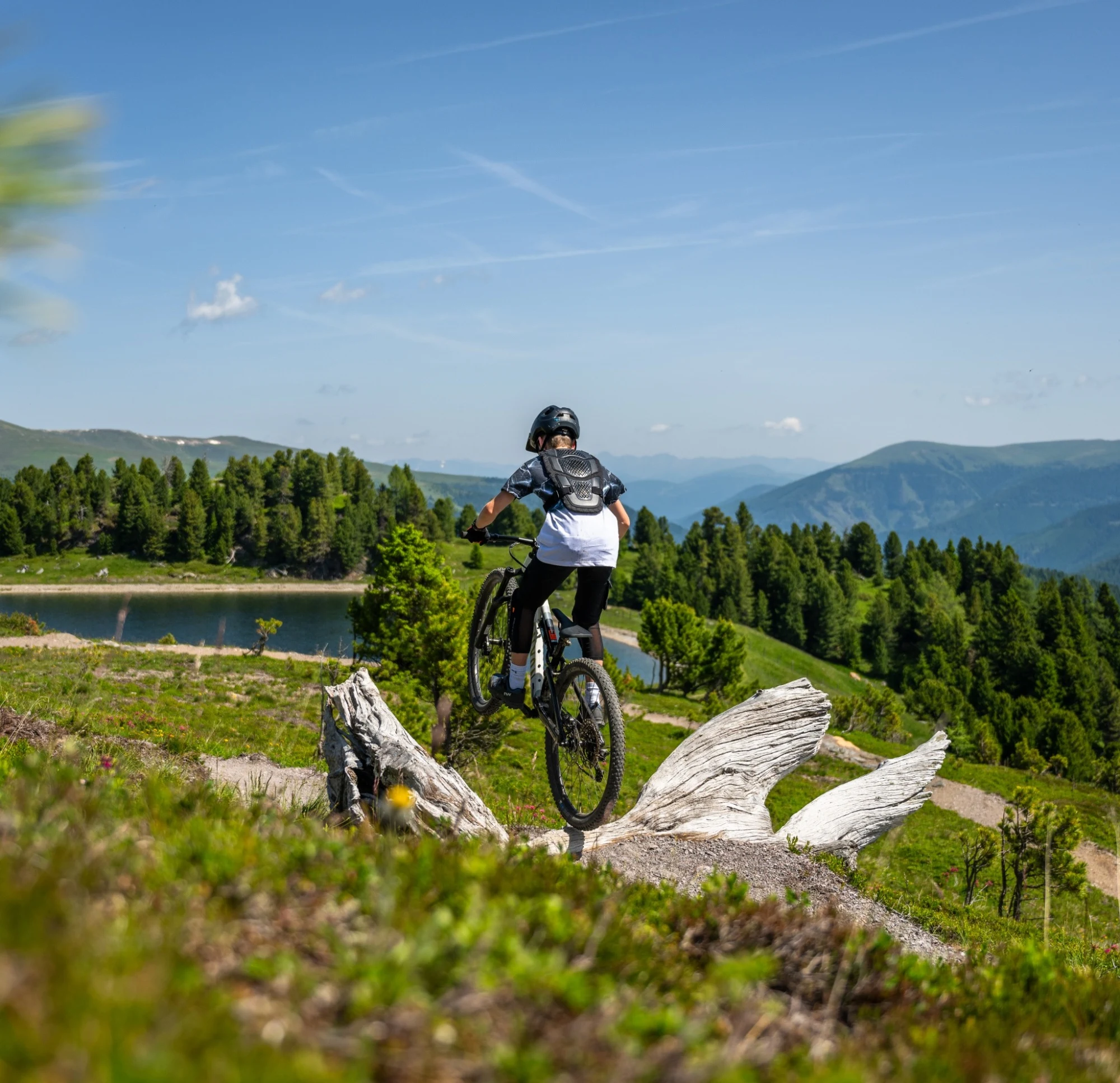 Zirben Trail