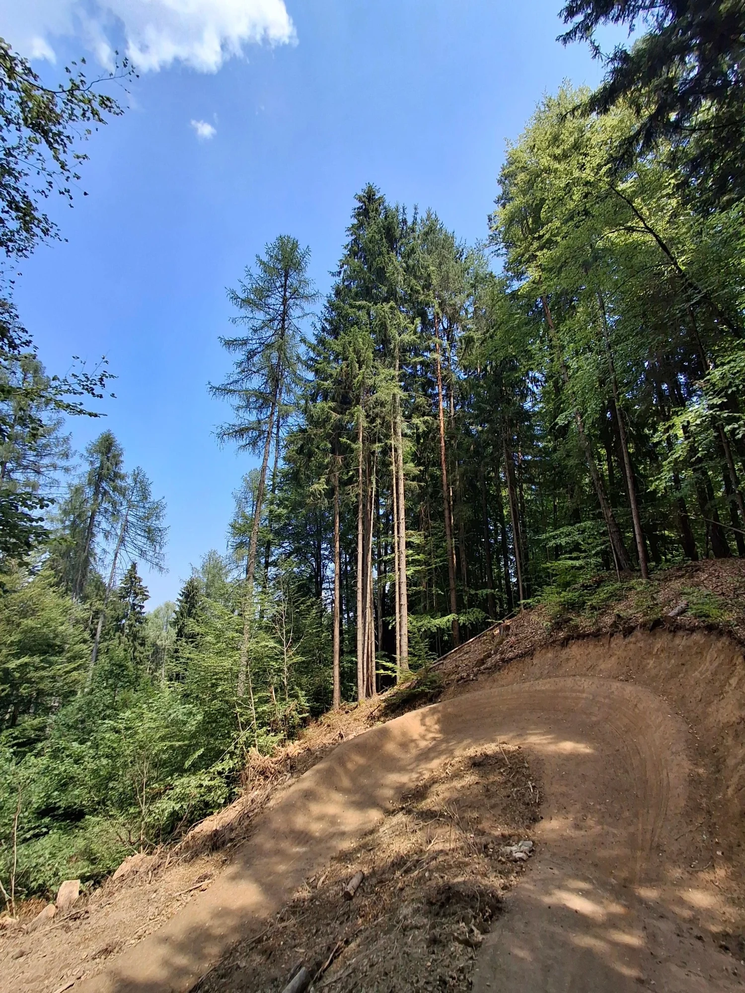 Kathi Truppe Trail