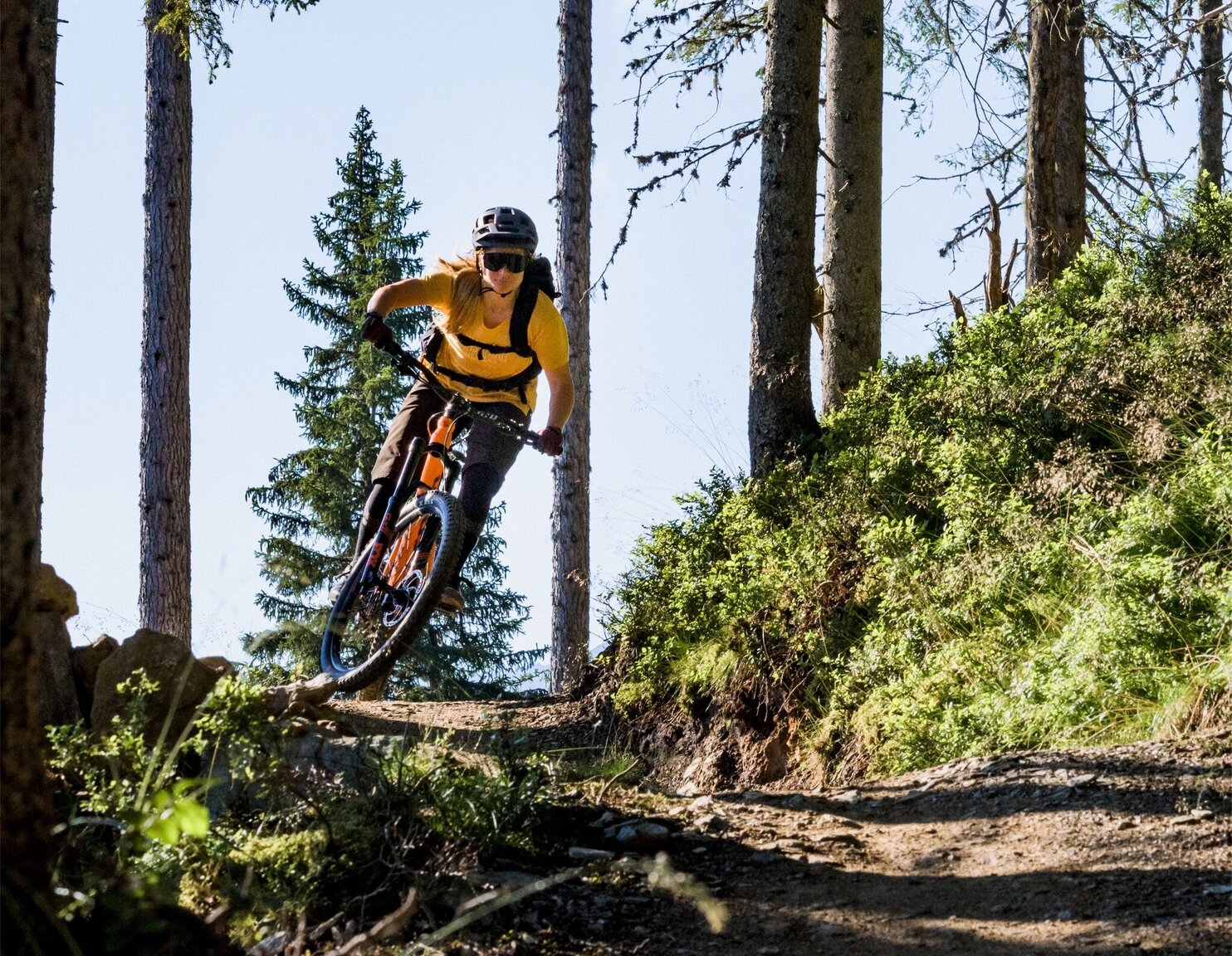 Holzer Trail