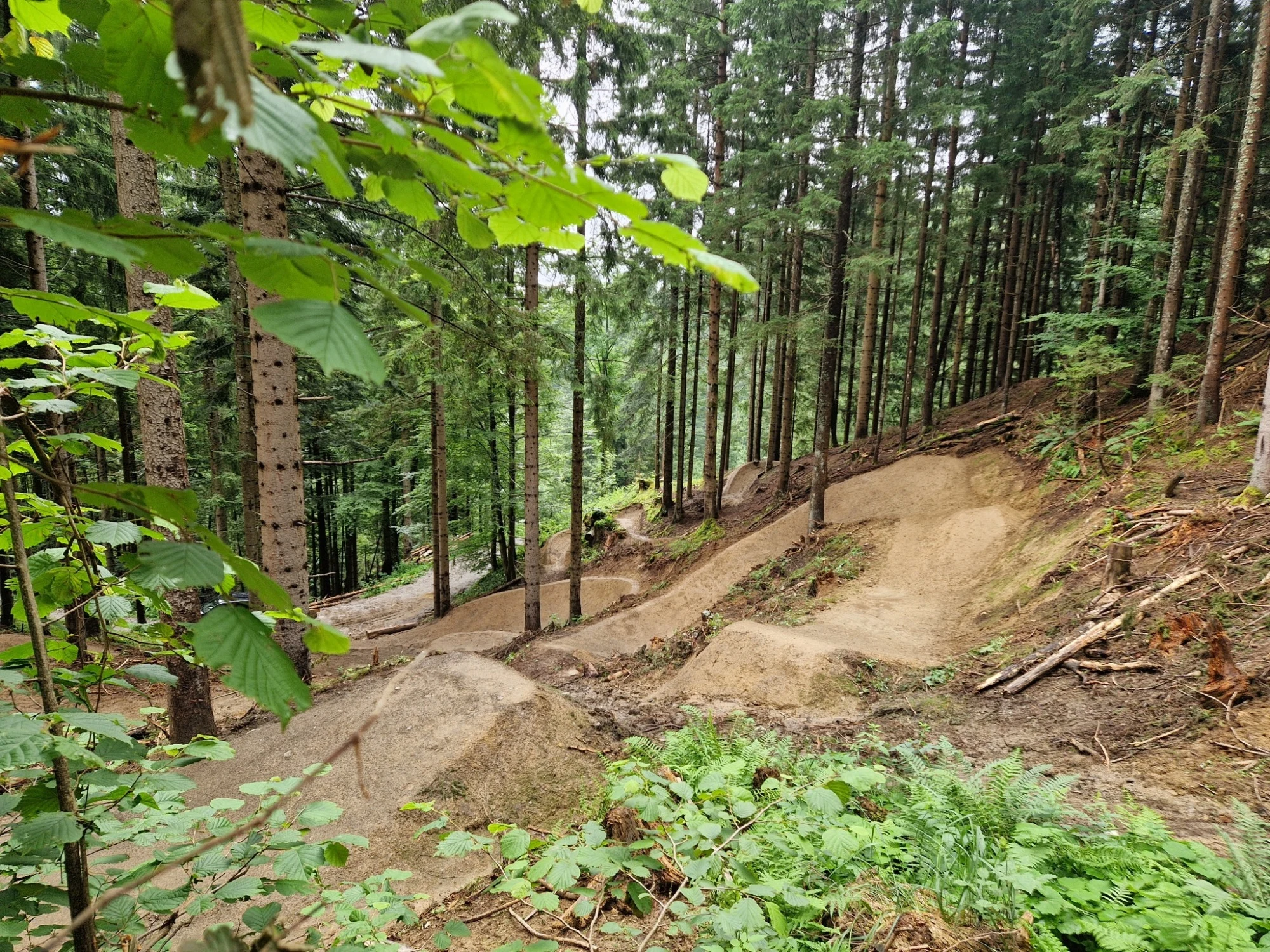 Airgartner Trail