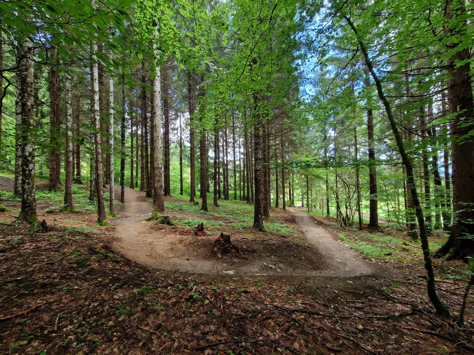Sidegartner Trail