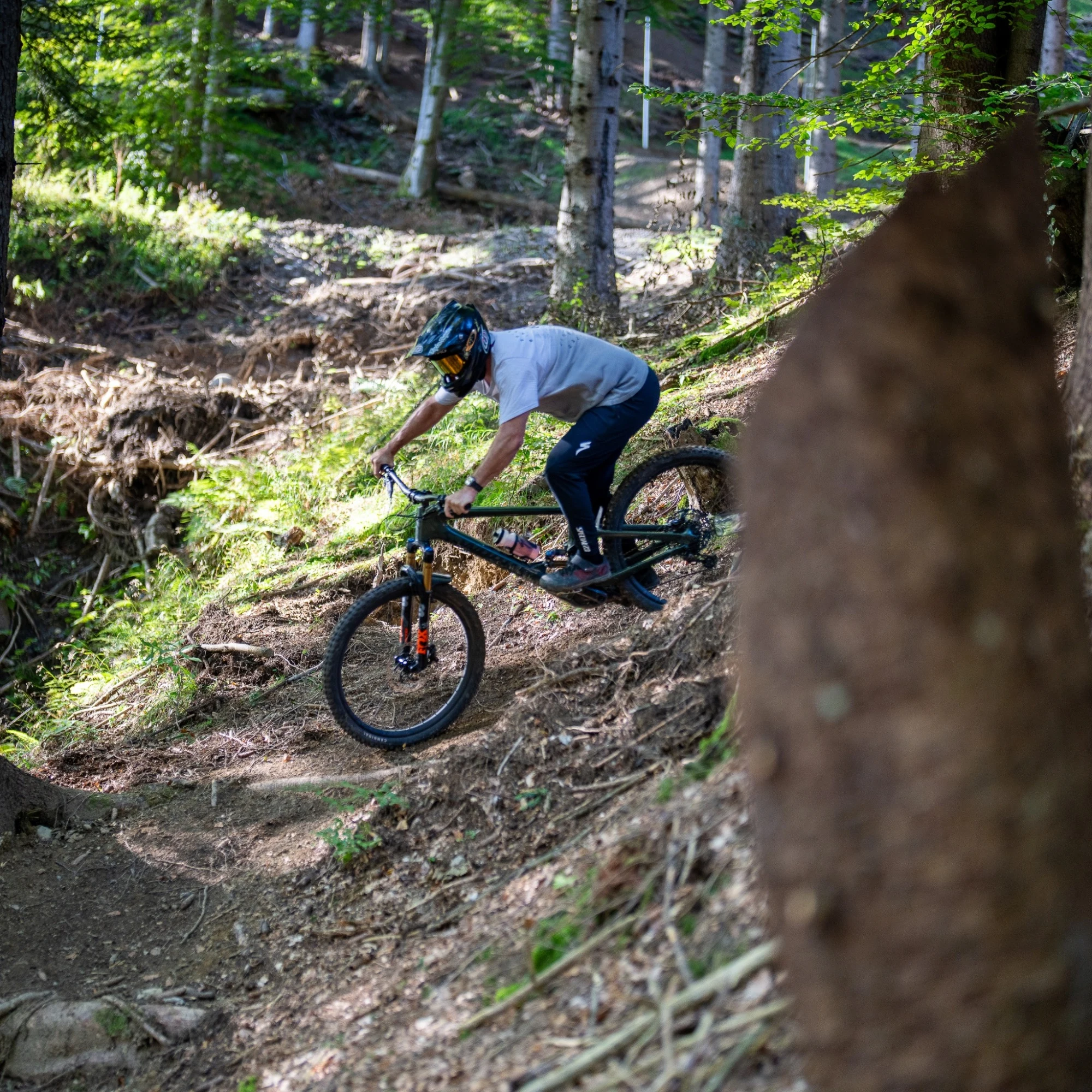 Sengartner Trail