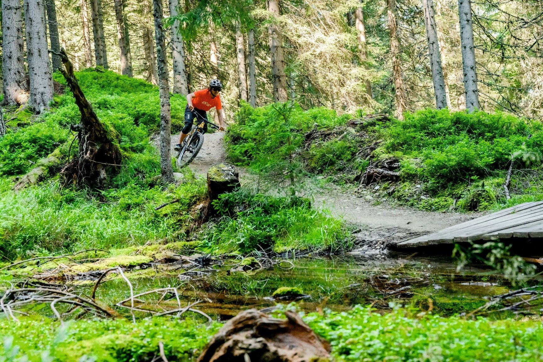 Hochalm Trail