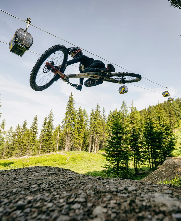 Pro Downhill | 403
