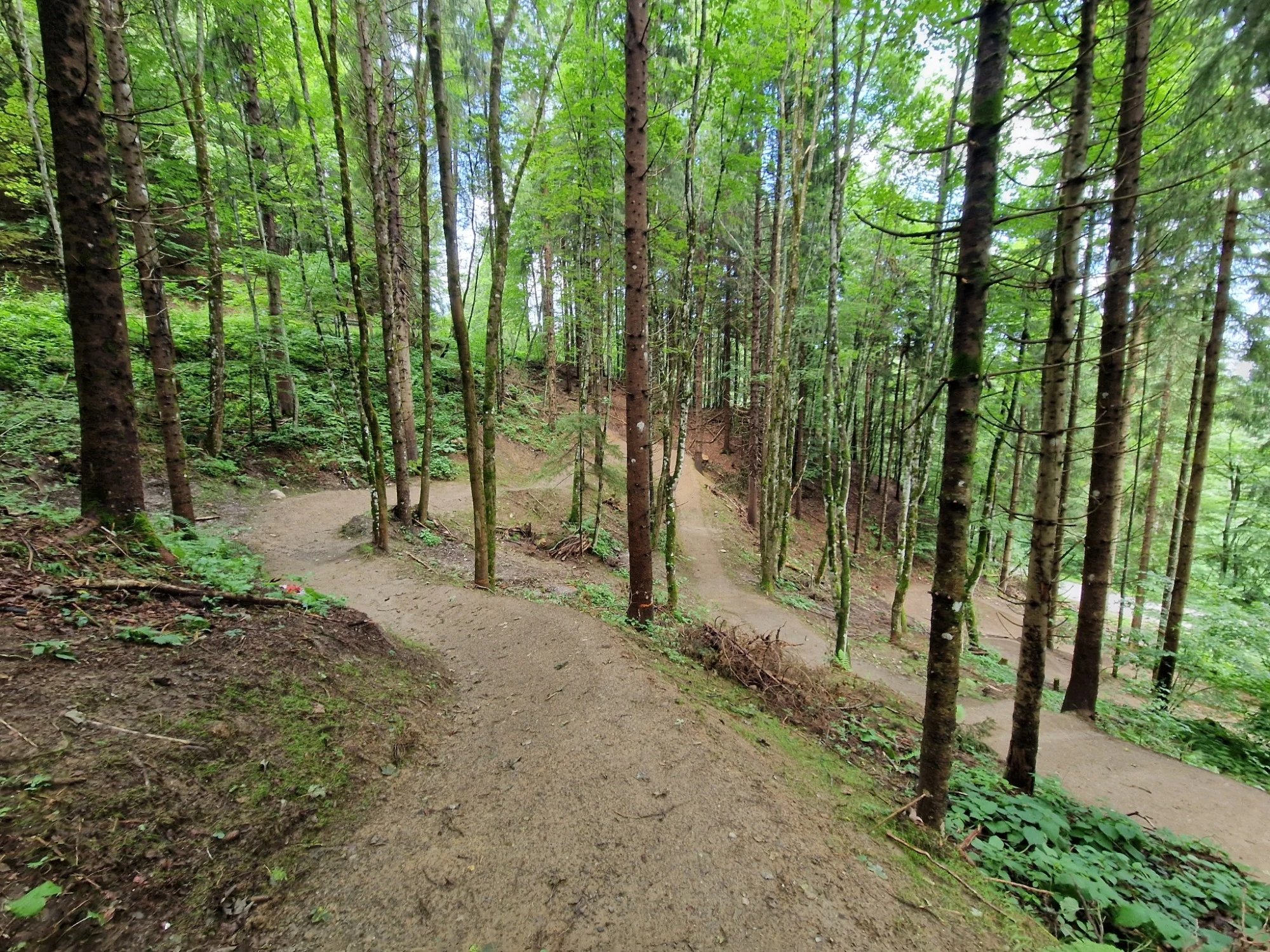 Turbine Trail