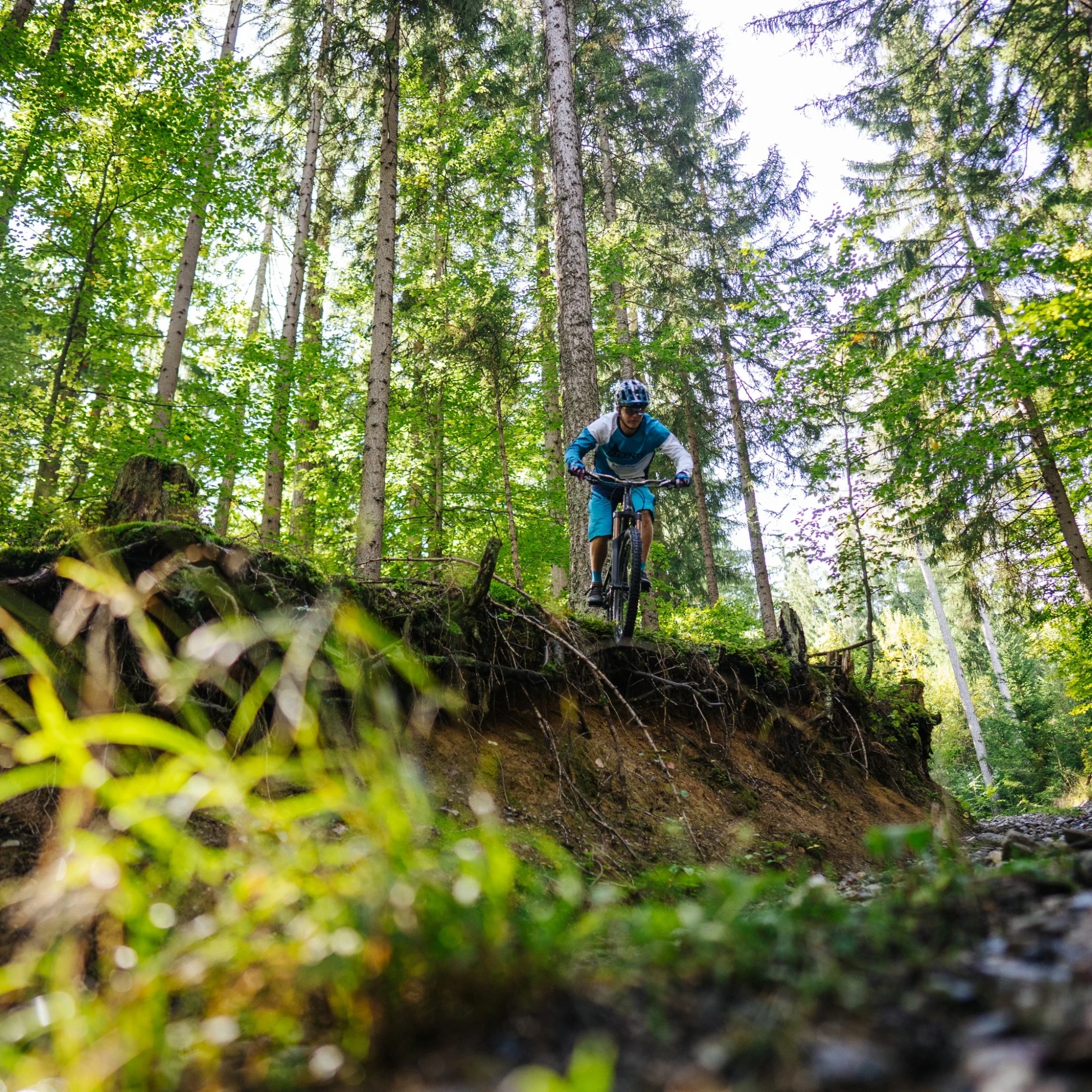 Ischnig Trail