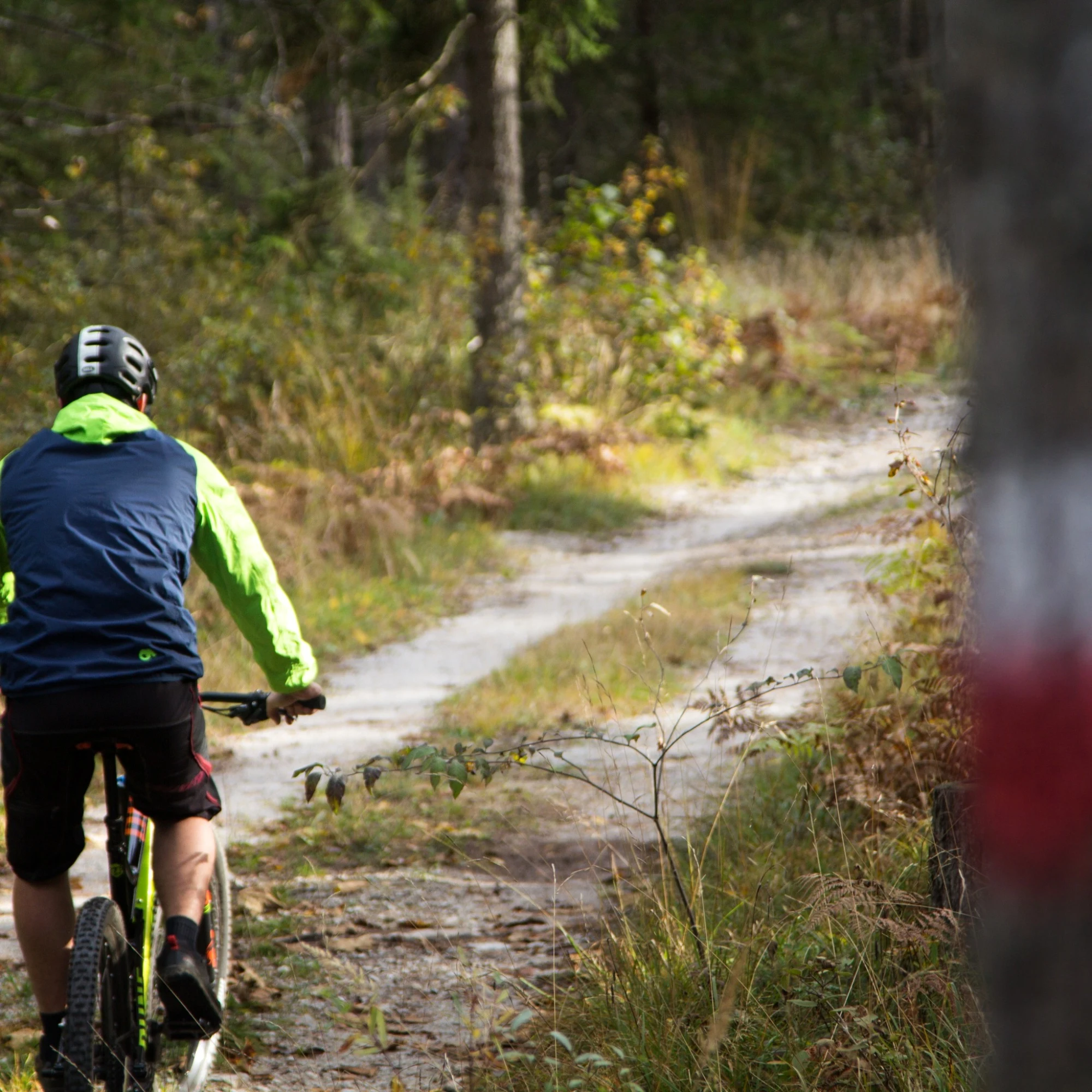 Kopein Trail