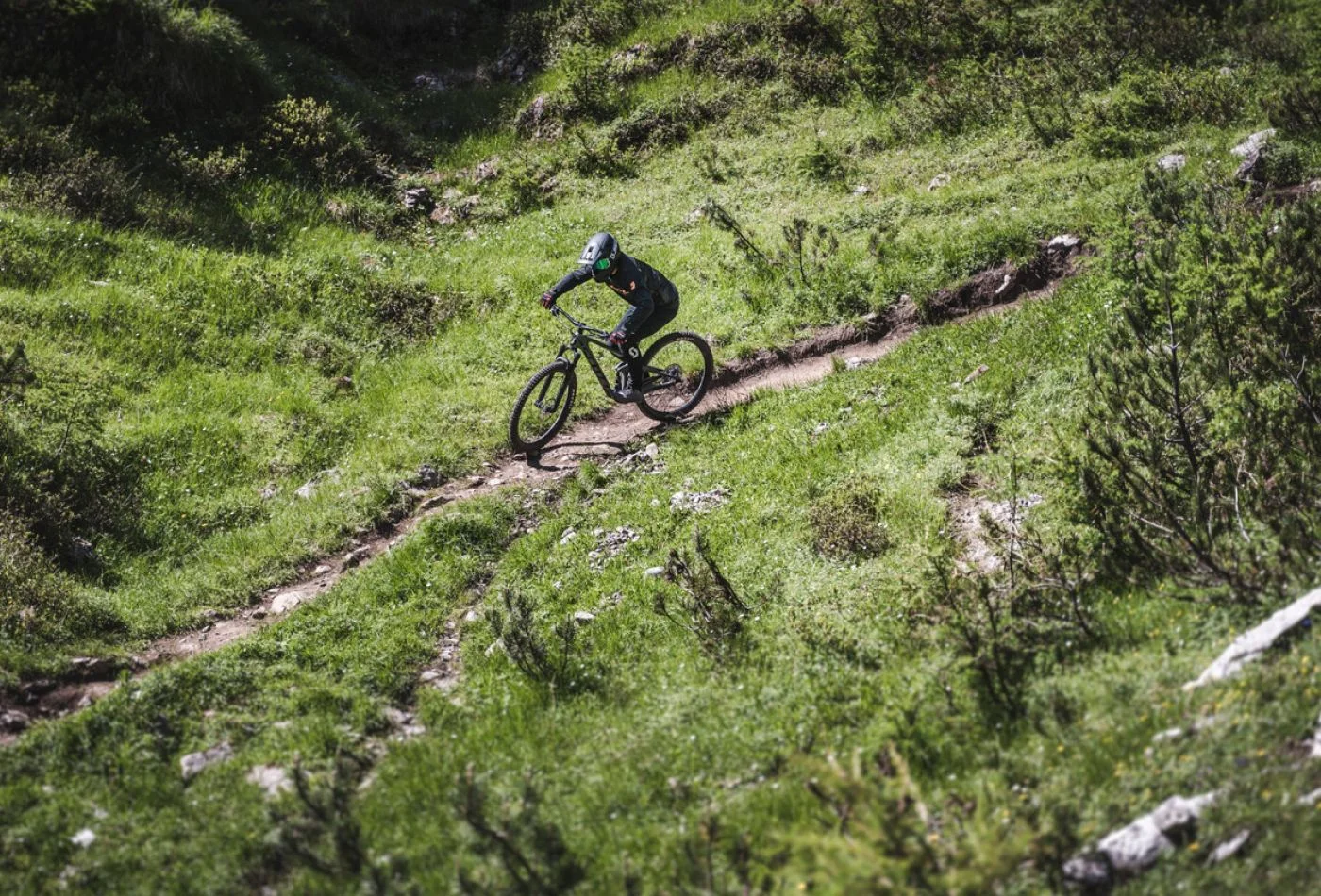 Grubigalm 864
