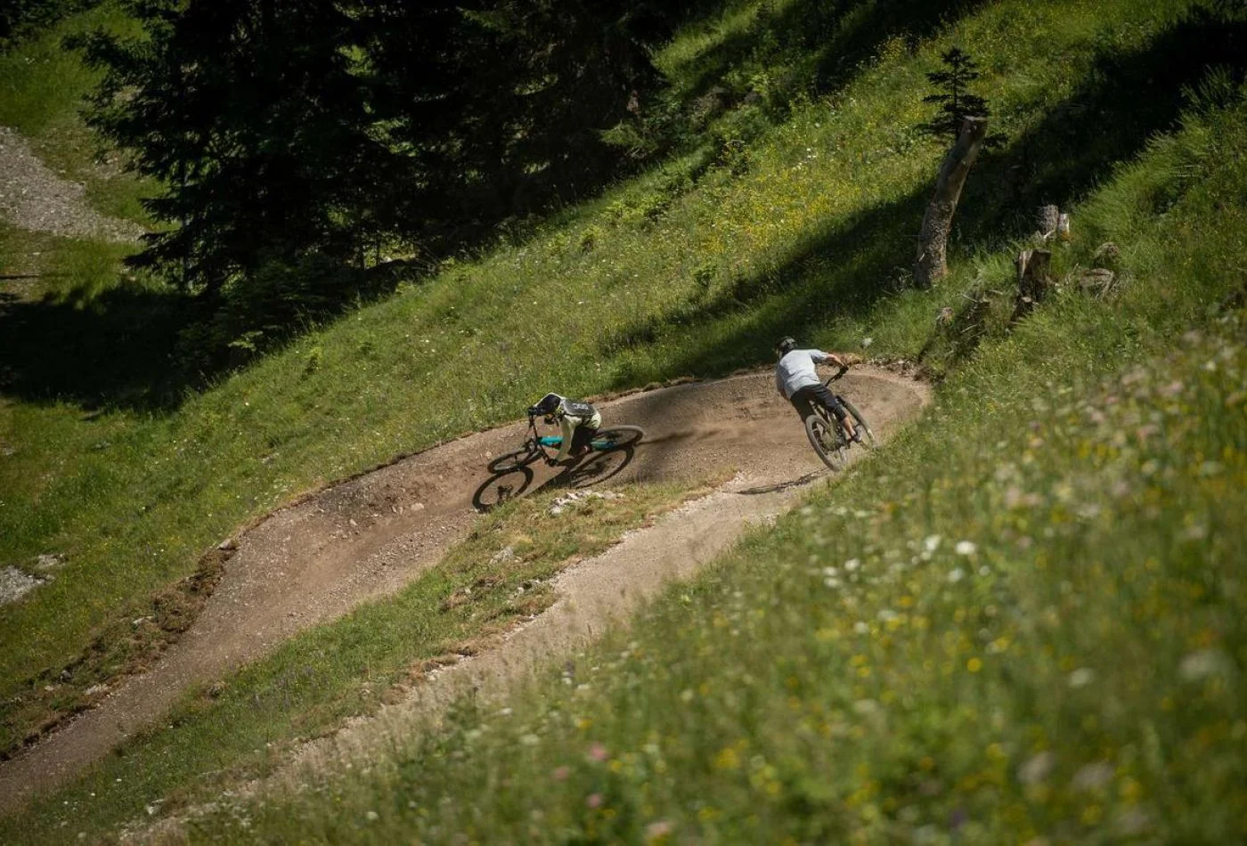 Bachtl Trail 8031