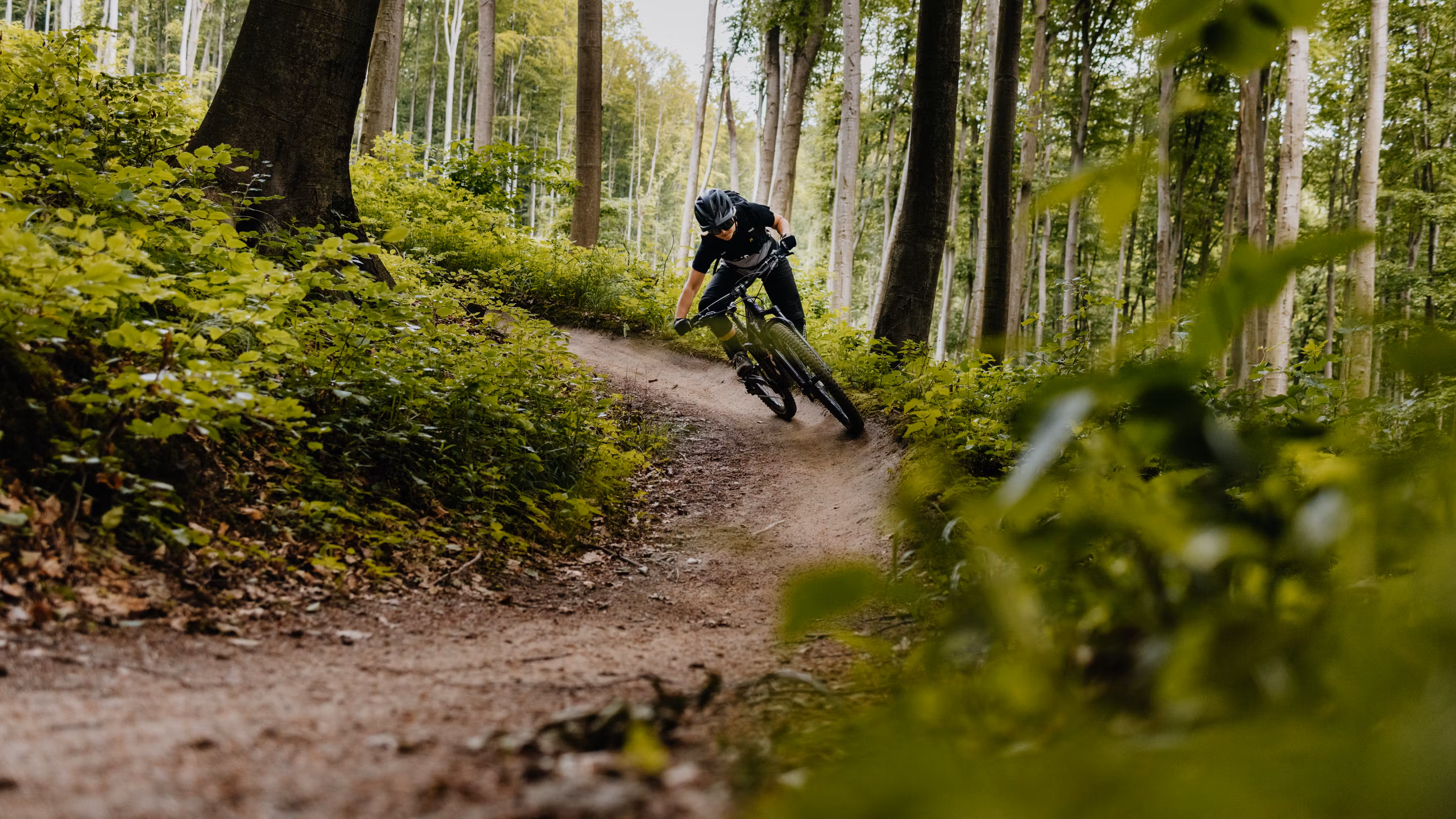 Wienerwald Trails