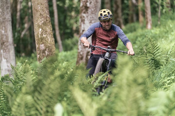 Pfenningberg Trails