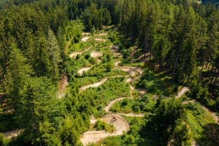 Wexl Trails
