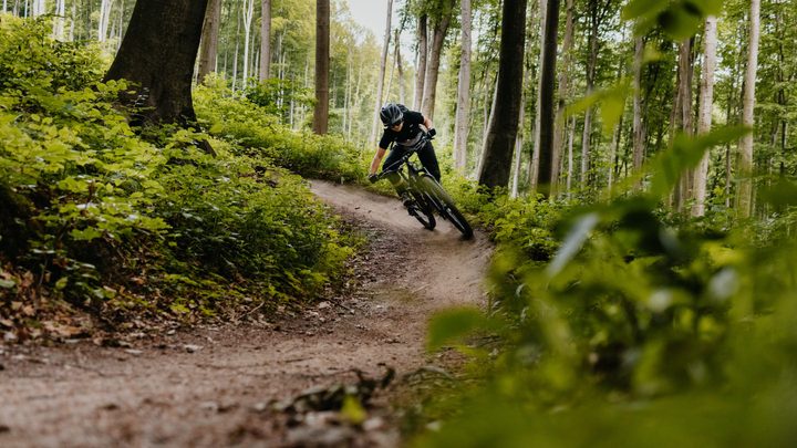 Wienerwald Trails